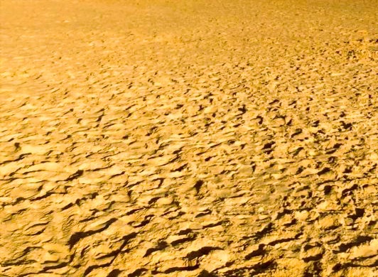 Golden sand and headland — warm dusk light at Curl Curl